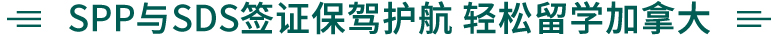 ôW(xu)ԺSPPӋ(j)SDSӋ(j)B