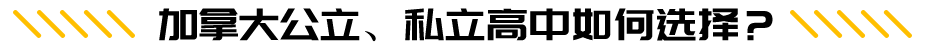 ô˽x