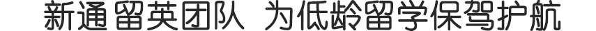 ͨI(y)ӢFgW{o